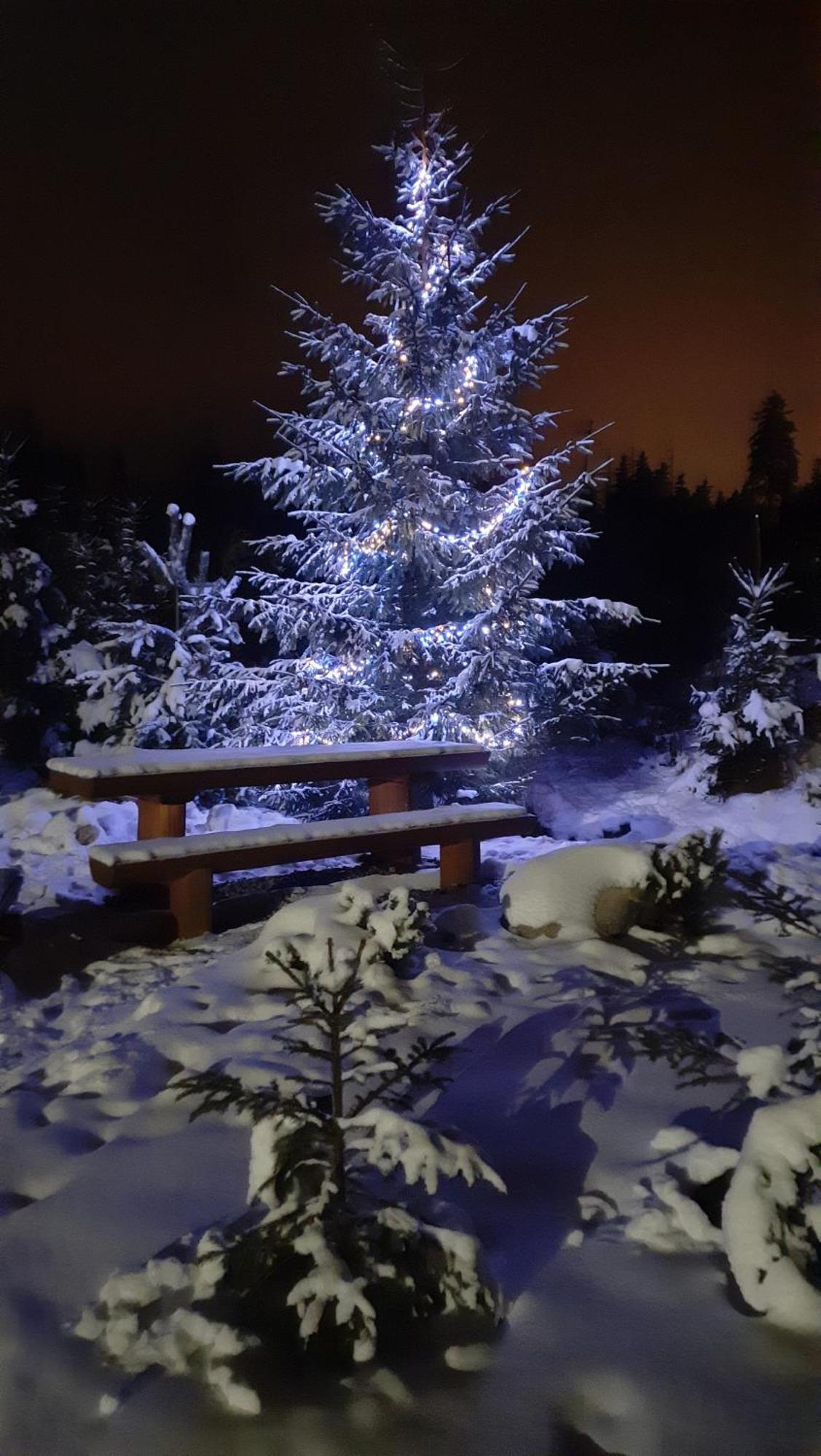 Góralska Chata przy Dolinie Chochołowskiej Witów Exterior foto