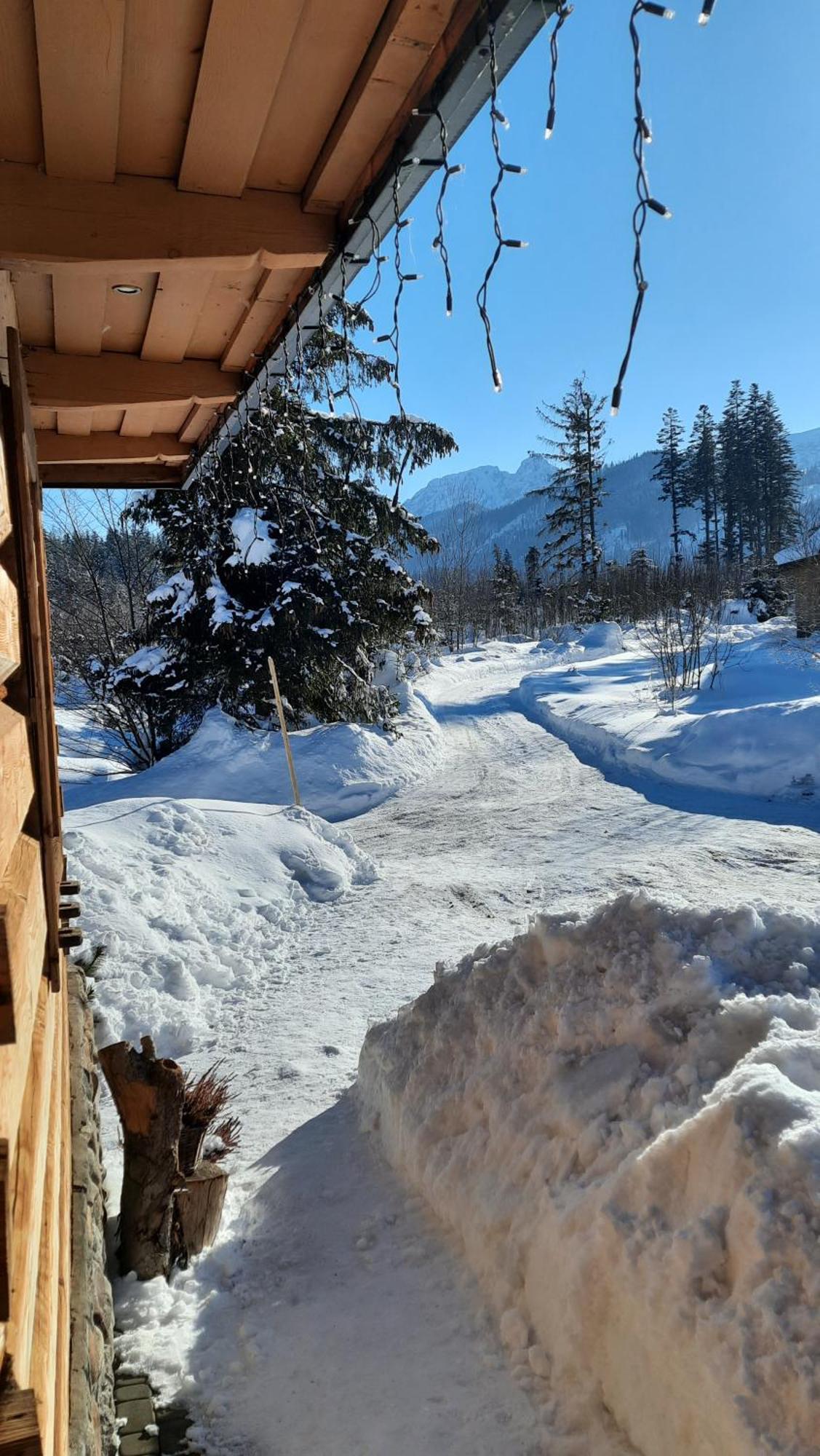 Góralska Chata przy Dolinie Chochołowskiej Witów Exterior foto